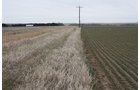 Property photo 31 - Kansas Land Auction - 960 Acres - 7 Farms in 3 Counties
